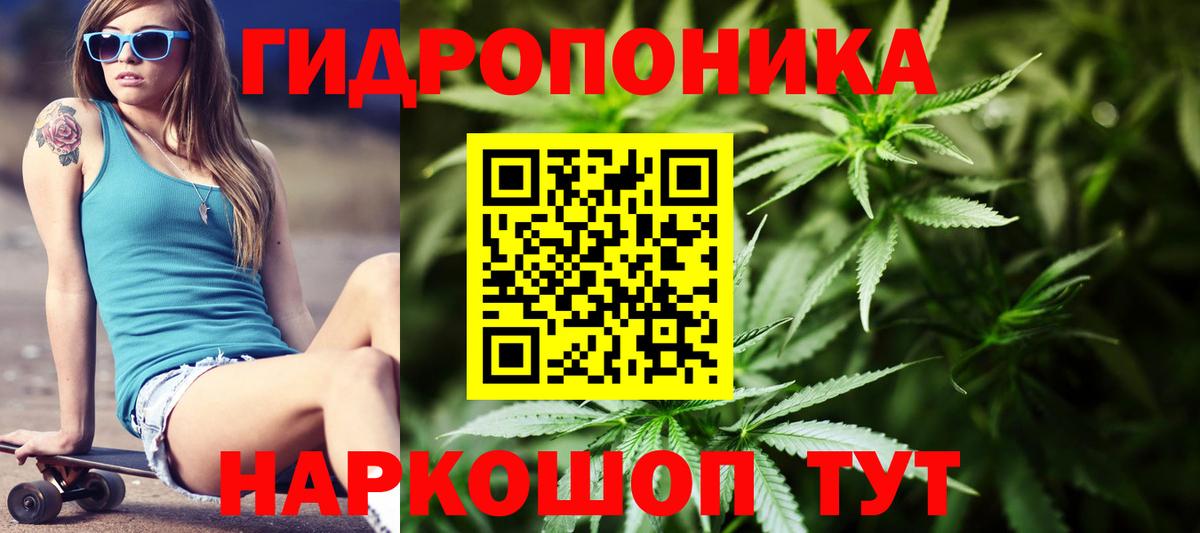 Каннабис индика  МАРИХУАНА план  Вход с VPN  Бузулук  Бошки Шишки OG Kush 